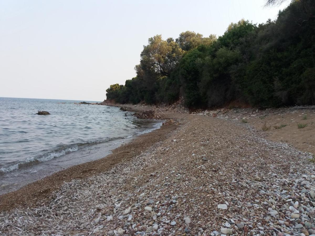 Nereids Apartments-galene